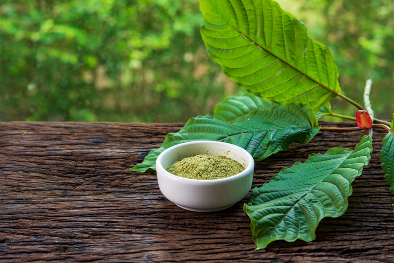 Is Kratom Legal In The U.S? A State-By-State Legality Guide