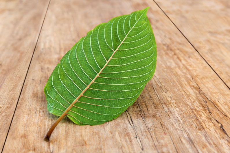 Kratom For Energy: Top Strains, Dosage And Benefits