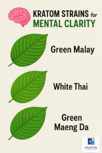 Kratom strains for mental clarity