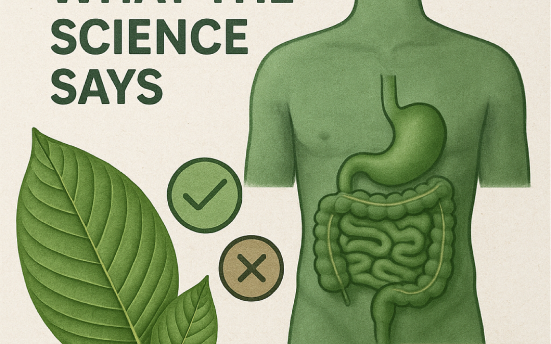 🌿 Kratom and Gut Health: What the Science Says