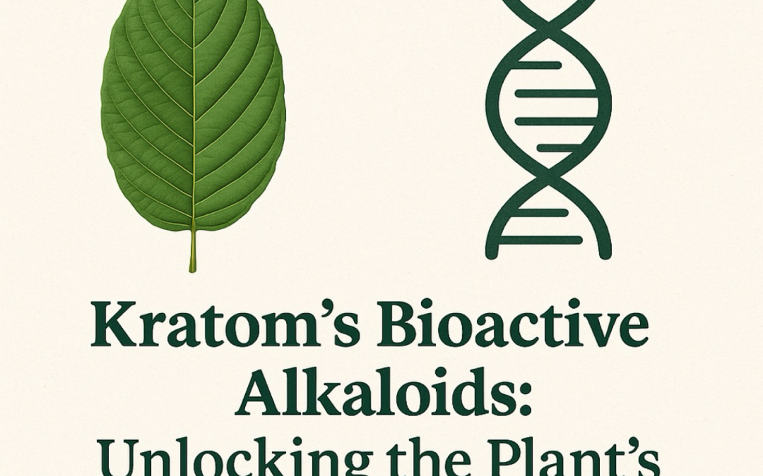 Kratom’s Bioactive Alkaloids