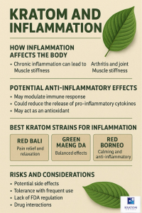 Kratom and inflammation infographic