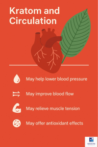 kratom and circulation infographic