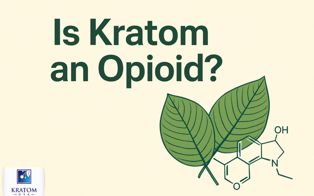 Is Kratom an Opioid? Understanding the Differences and Misconceptions