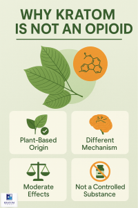 Why kratom is not an opioid