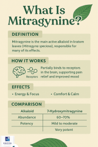 About mitragynine
