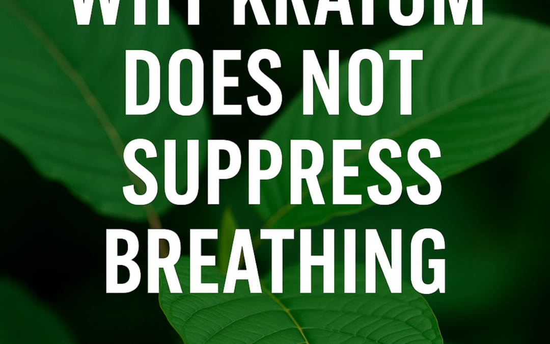 Why Kratom Does Not Suppress Breathing